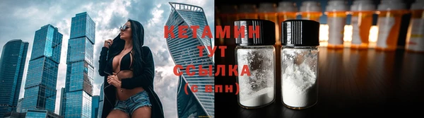прущие грибы Володарск