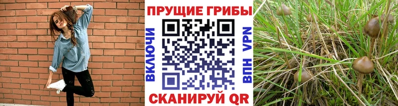 Псилоцибиновые грибы мухоморы Лукоянов